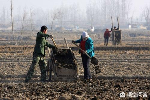 孟连傣族拉祜族佤族自治县没有化肥的农业行吗？被“妖魔化”的化肥何去何从？现在农业发展何去何从呢？